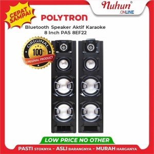 Speaker Polytron PAS 8EF22